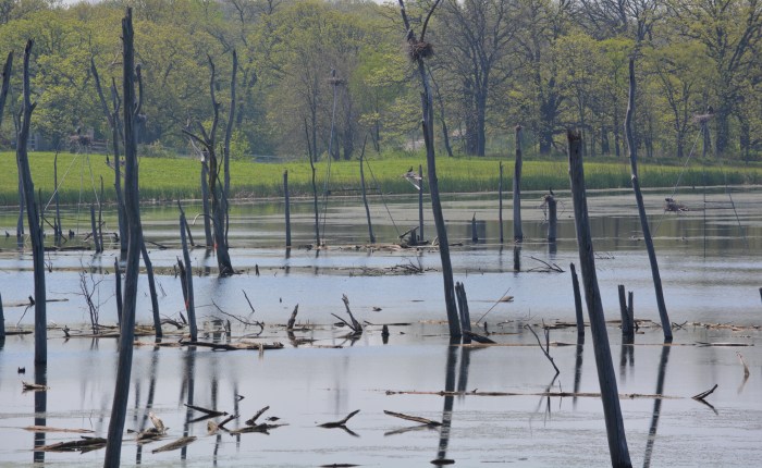 Why Not Just Use The&nbsp;Key?