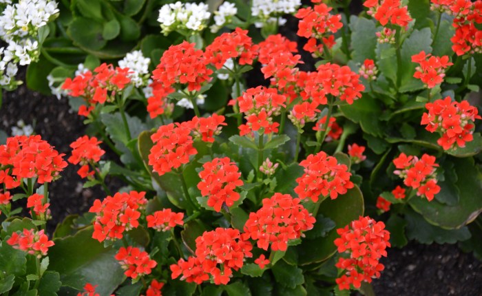 Pick Up The&nbsp;Phone!