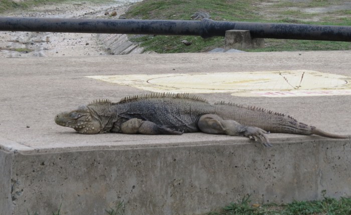 The (Sar)Chasm Between Irony And&nbsp;Cynicism