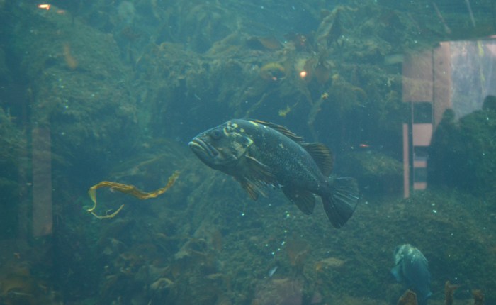 The Guy That Was The&nbsp;Guy