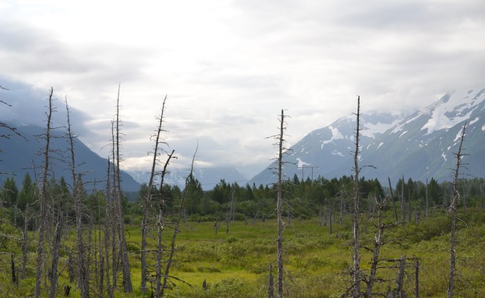 Reaching Back To Enjoy My&nbsp;Sorrows