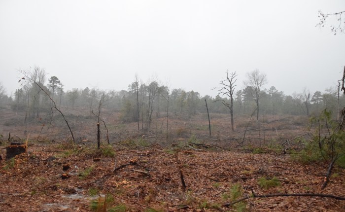 Get Yourself Out Of&nbsp;There