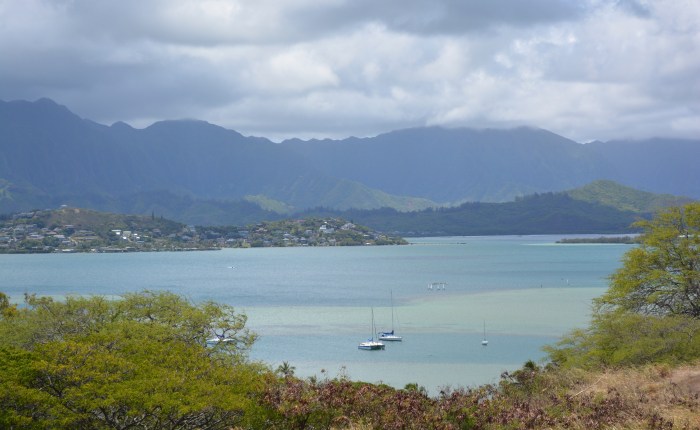 Who’s Interpreting?