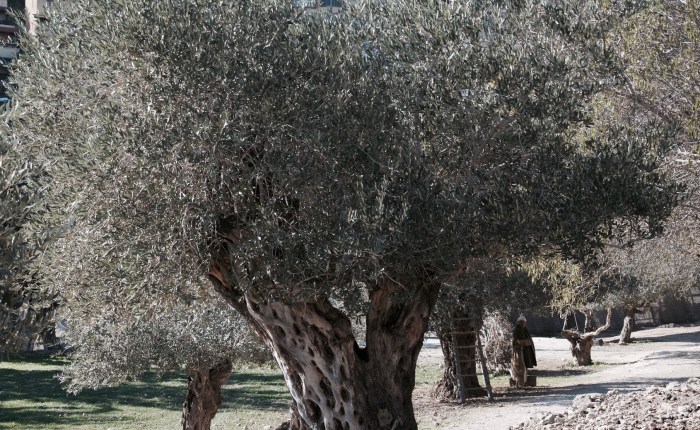 When I’m Gone, I’m&nbsp;Gone