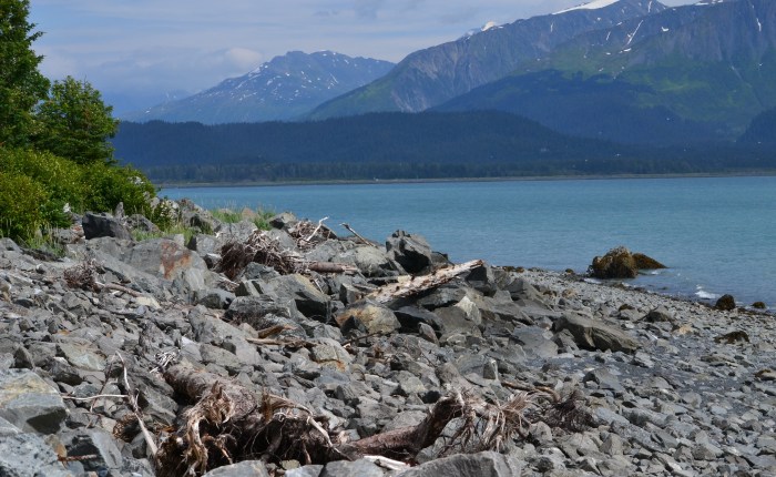 Having A Conversation